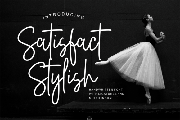 Download Satisfact Stylish - Premium Bundle